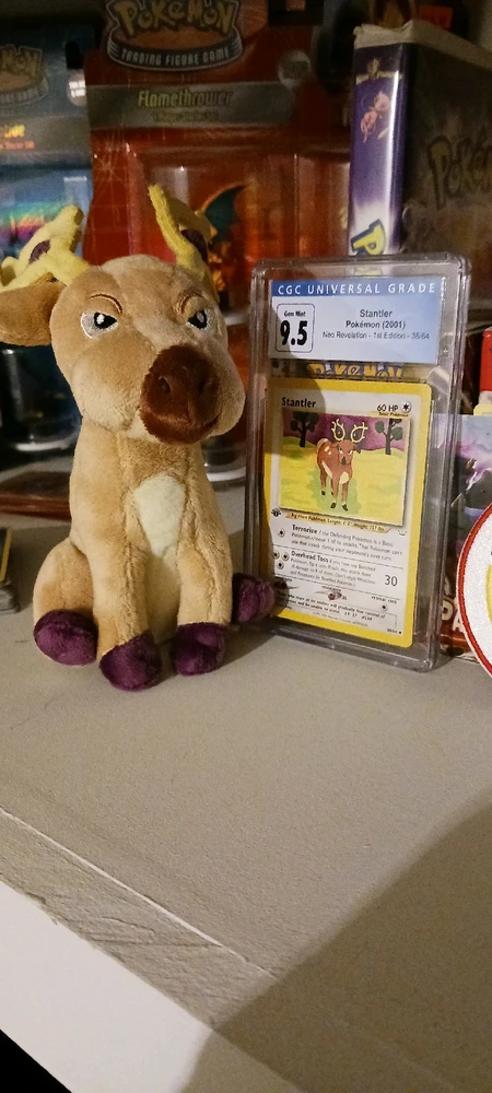 GIF uploaded by Bryden