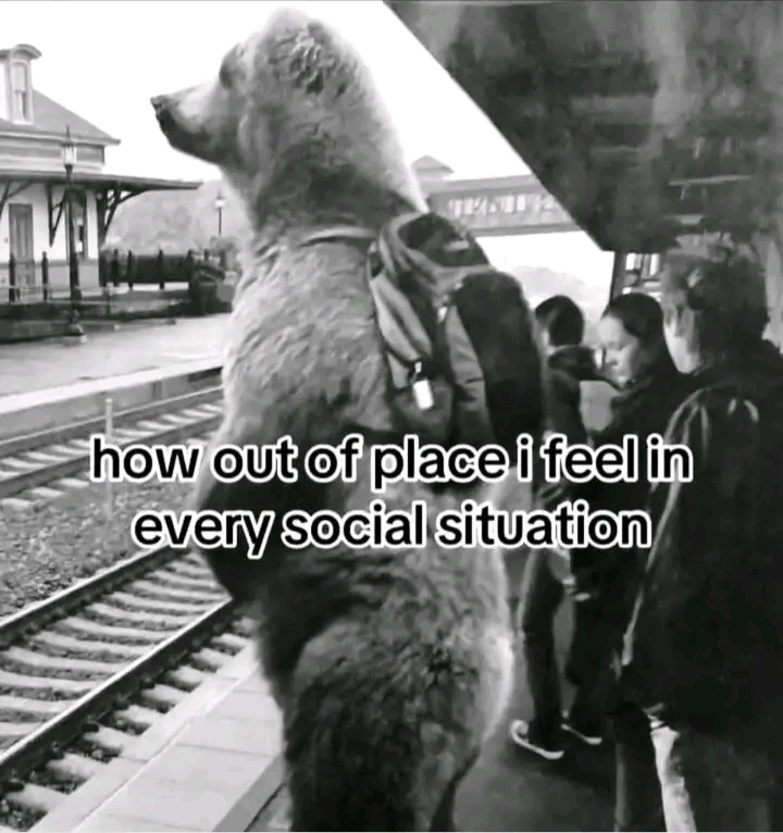 And in everyone's life