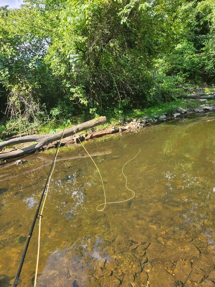 GIF uploaded by Kyle