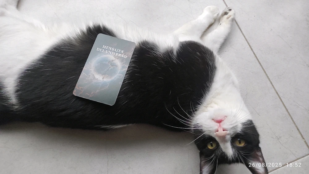 GIF subido por Laura