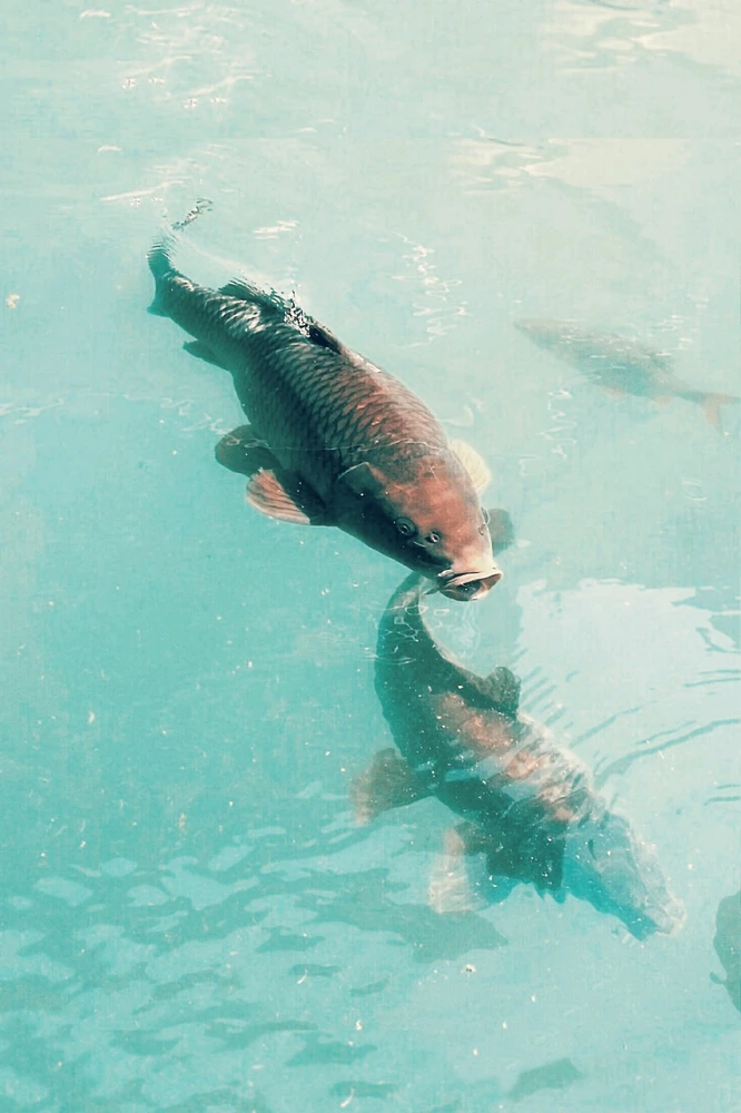 GIF hochgeladen von Doris