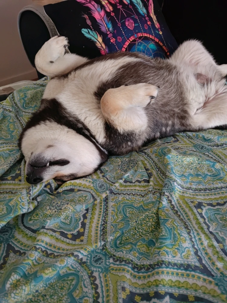 GIF diunggah dening Ashley