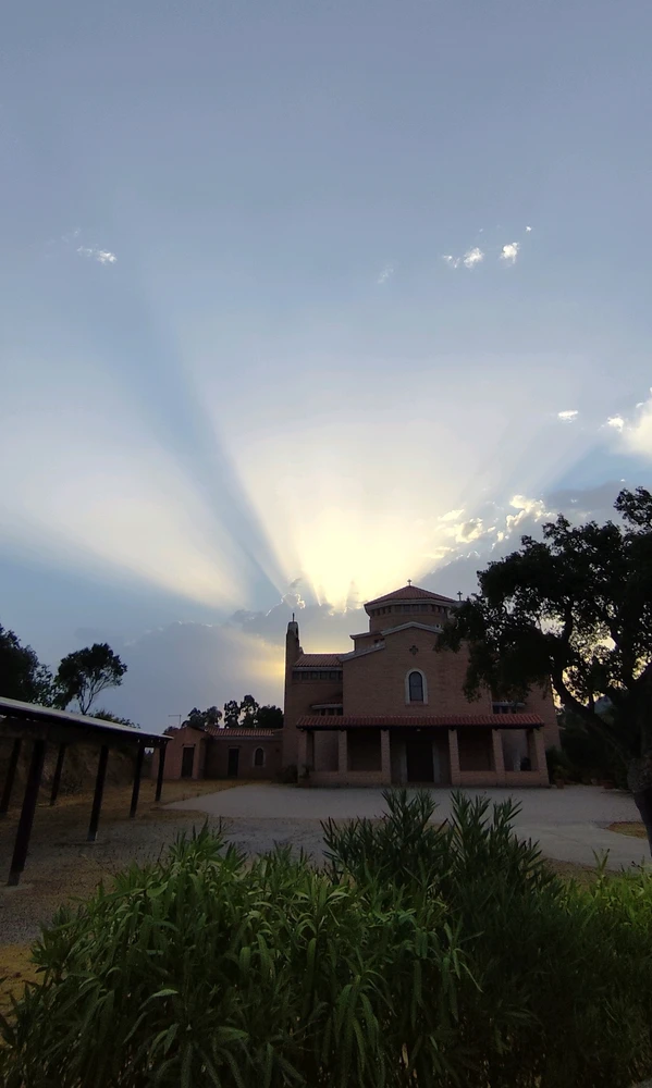 The Sun doesn't want to give up, I want rain, thunderstorms, fresh air. 💚🥲