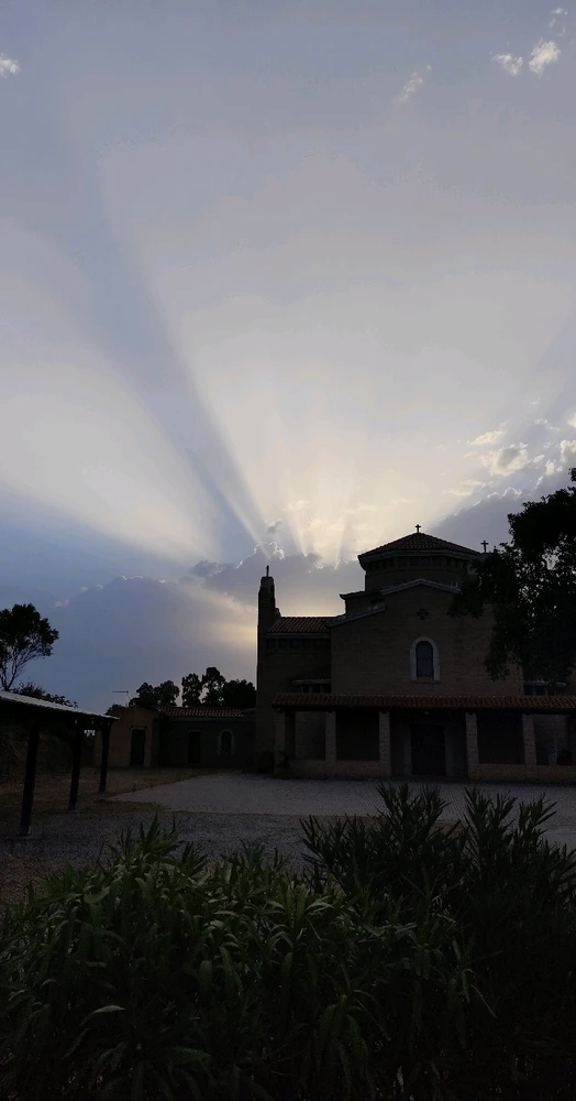 The Sun doesn't want to give up, I want rain, thunderstorms, fresh air. 💚🥲