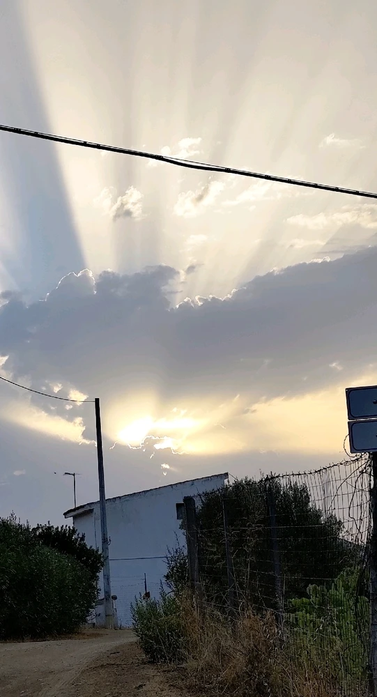 The Sun doesn't want to give up, I want rain, thunderstorms, fresh air. 💚🥲