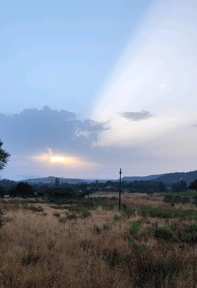 The Sun doesn't want to give up, I want rain, thunderstorms, fresh air. 💚🥲