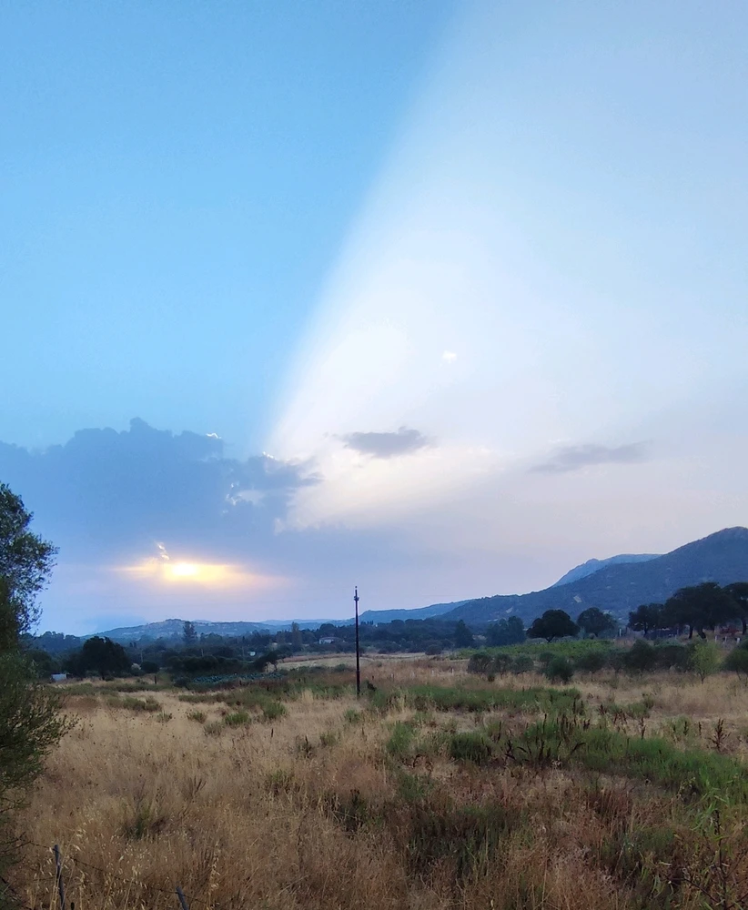 The Sun doesn't want to give up, I want rain, thunderstorms, fresh air. 💚🥲