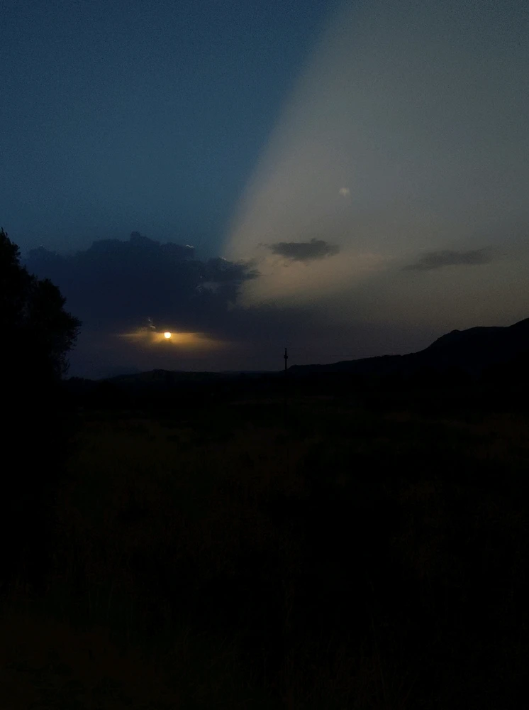 The Sun doesn't want to give up, I want rain, thunderstorms, fresh air. 💚🥲