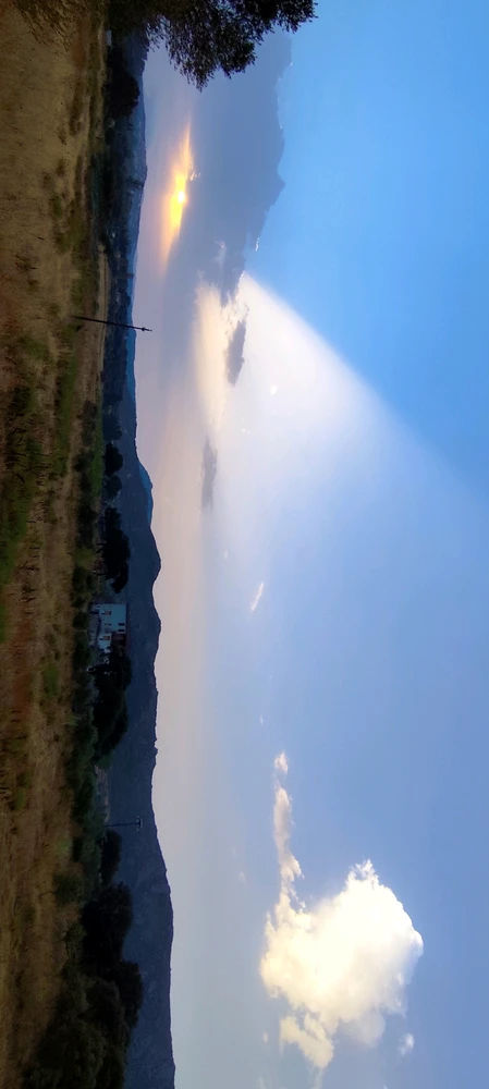 The Sun doesn't want to give up, I want rain, thunderstorms, fresh air. 💚🥲