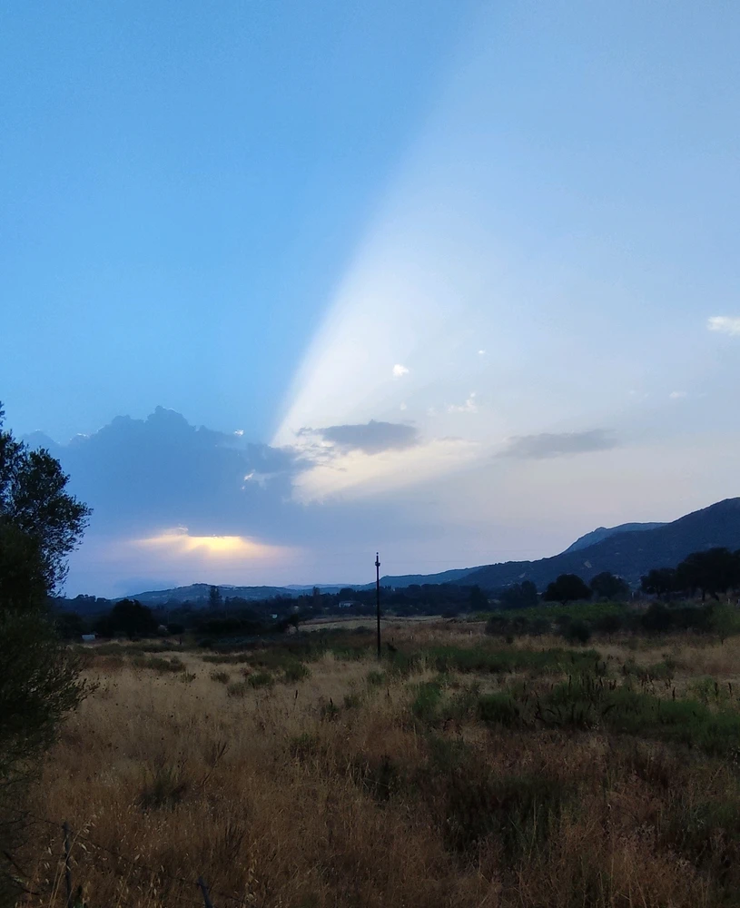 The Sun doesn't want to give up, I want rain, thunderstorms, fresh air. 💚🥲