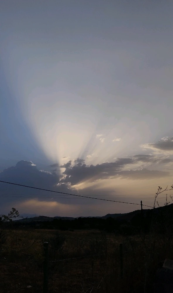 The Sun doesn't want to give up, I want rain, thunderstorms, fresh air. 💚🥲