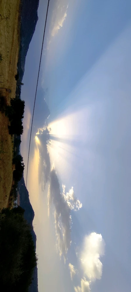 The Sun doesn't want to give up, I want rain, thunderstorms, fresh air. 💚🥲