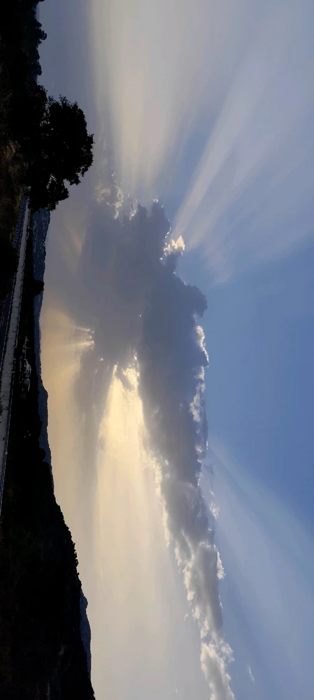 The Sun doesn't want to give up, I want rain, thunderstorms, fresh air. 💚🥲