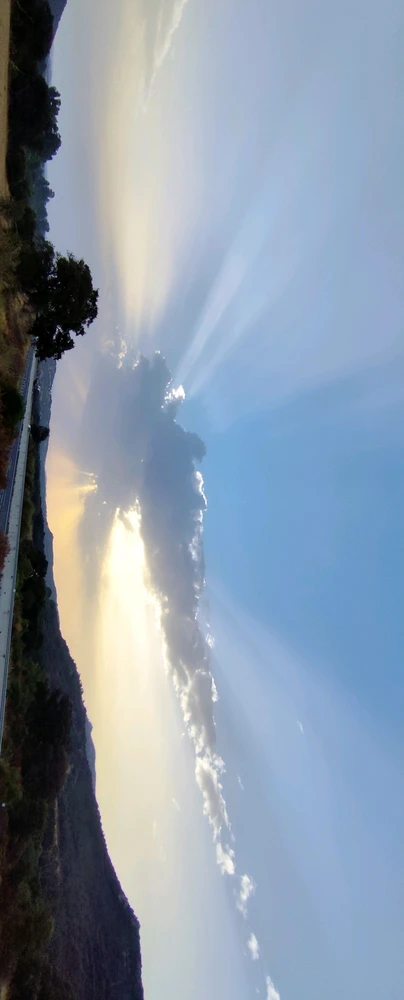 The Sun doesn't want to give up, I want rain, thunderstorms, fresh air. 💚🥲