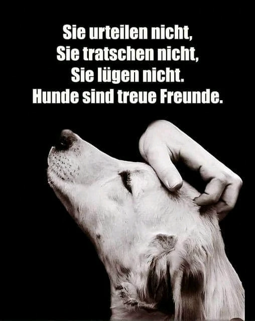 GIF hochgeladen von Ben