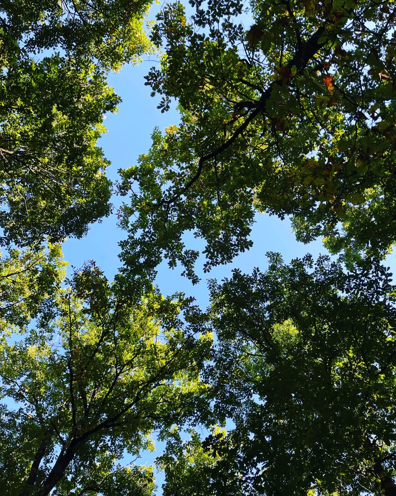 GIF ajouté par Alexandre