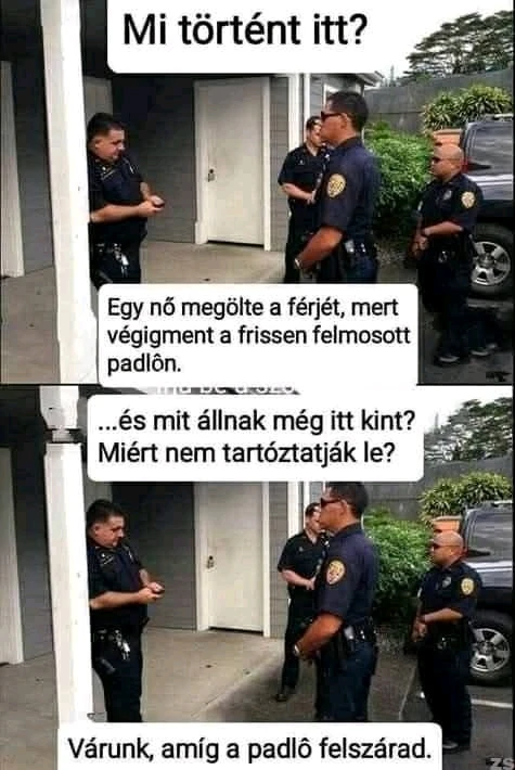 Tomi által feltöltött GIF