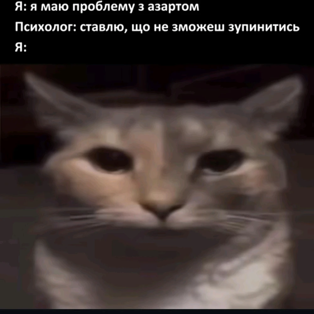 Гіфку завантажив Dima
