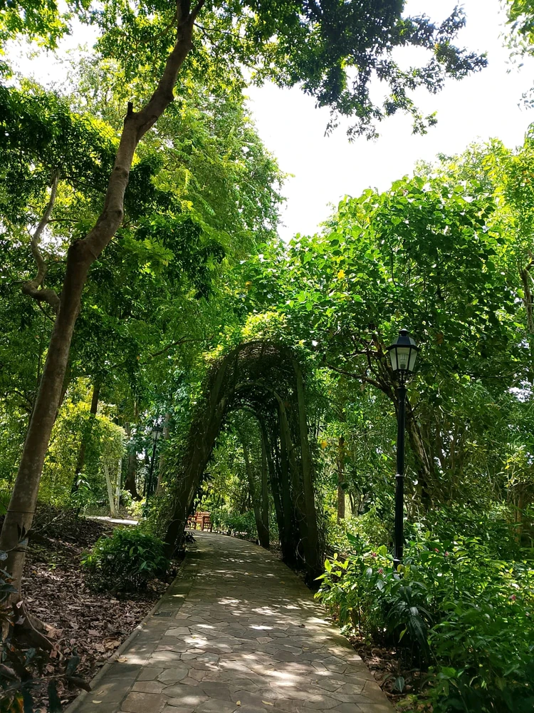 Image uploaded by Natalie