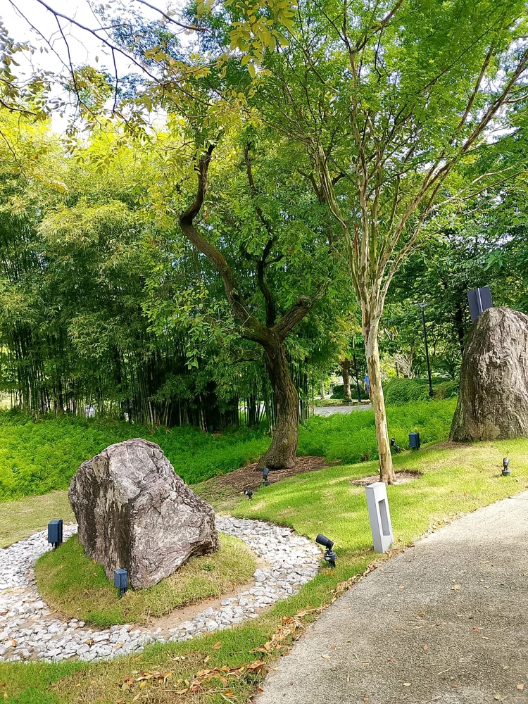 Image uploaded by Natalie