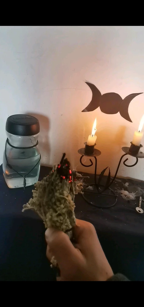 GIF uploaded by Shannon