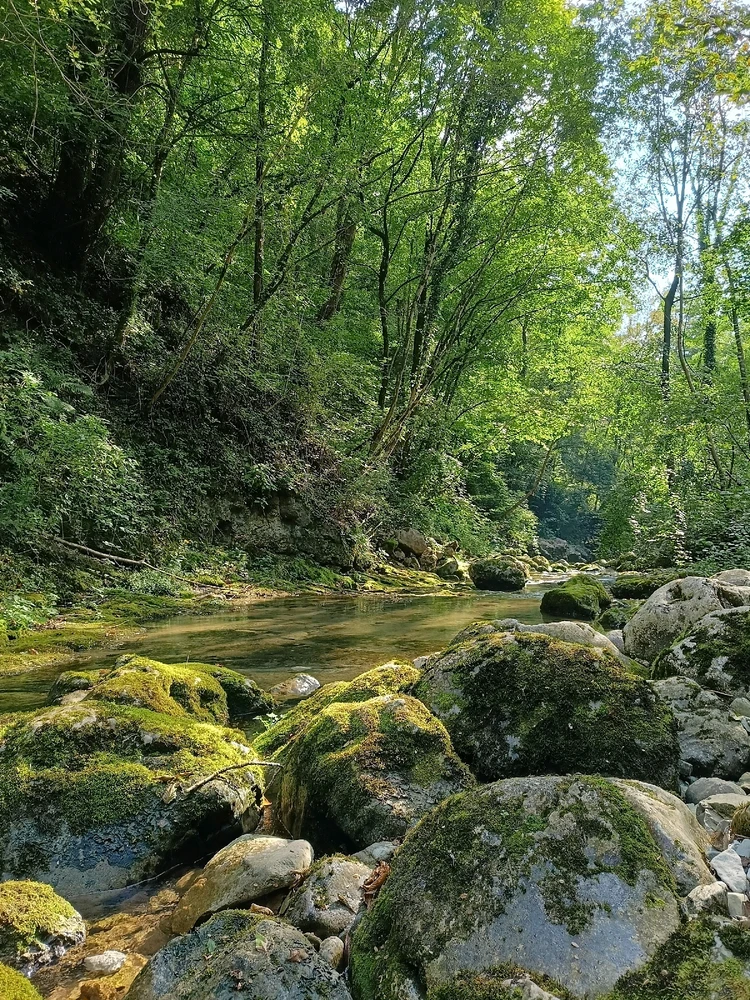 Immagine caricata da Mandarino