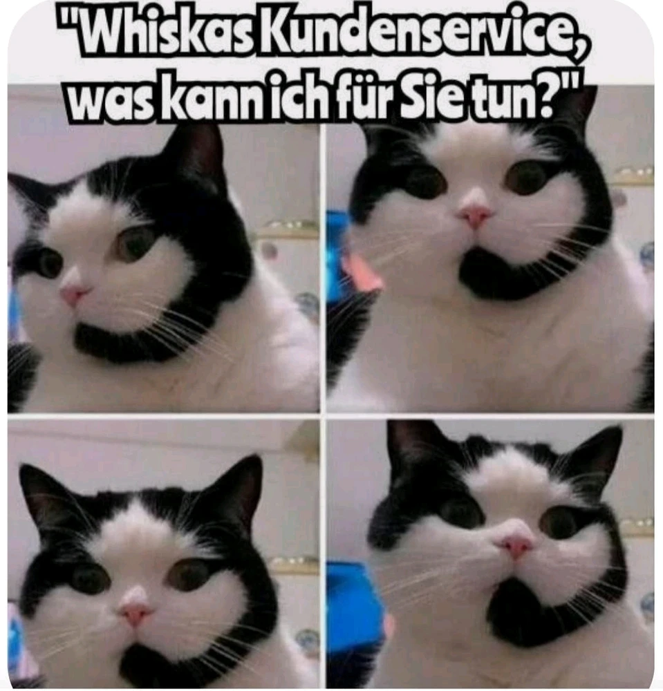 GIF hochgeladen von Jasmin