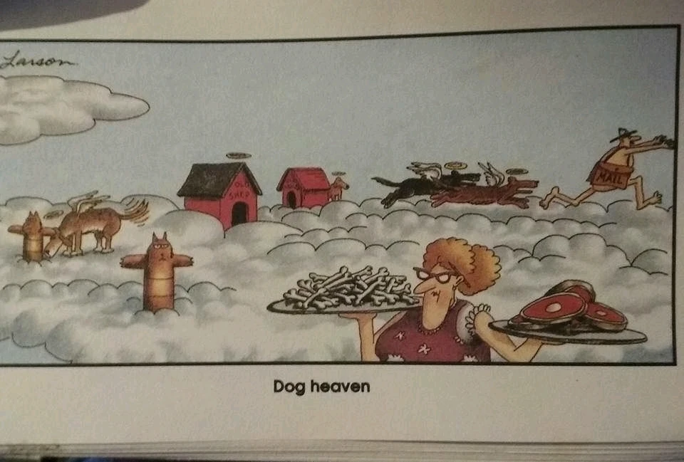 GIF uploaded by Cody