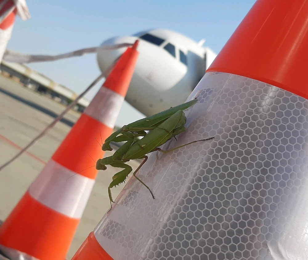 GIF încărcat de Alexandru