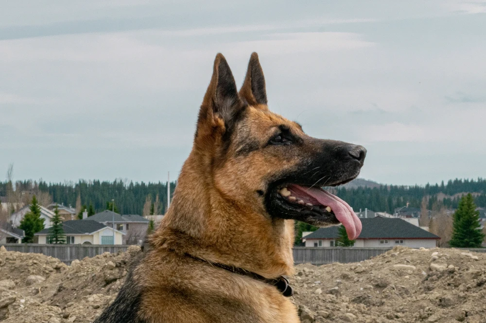 Фото загрузил Brian