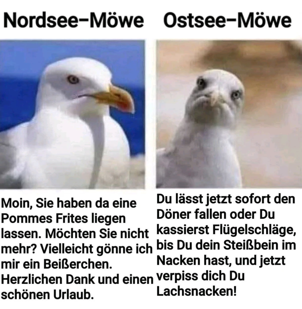 GIF hochgeladen von Anne (aka KuschelBrrrr- zeig mal etwas Wärme!!)