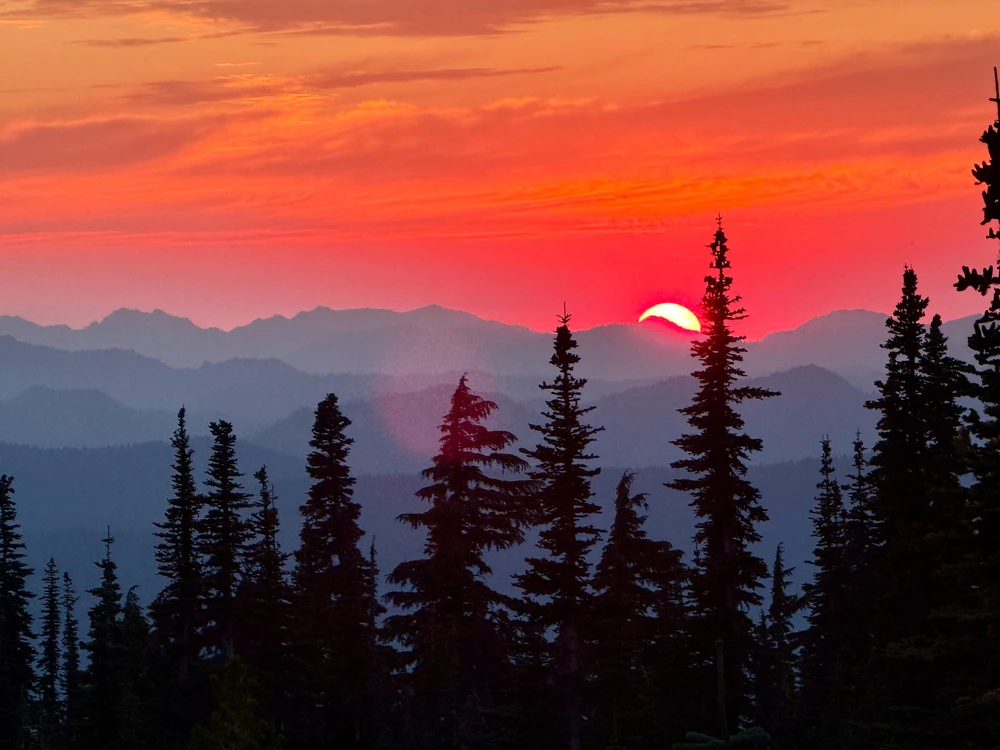 GIF uploaded by Brandon