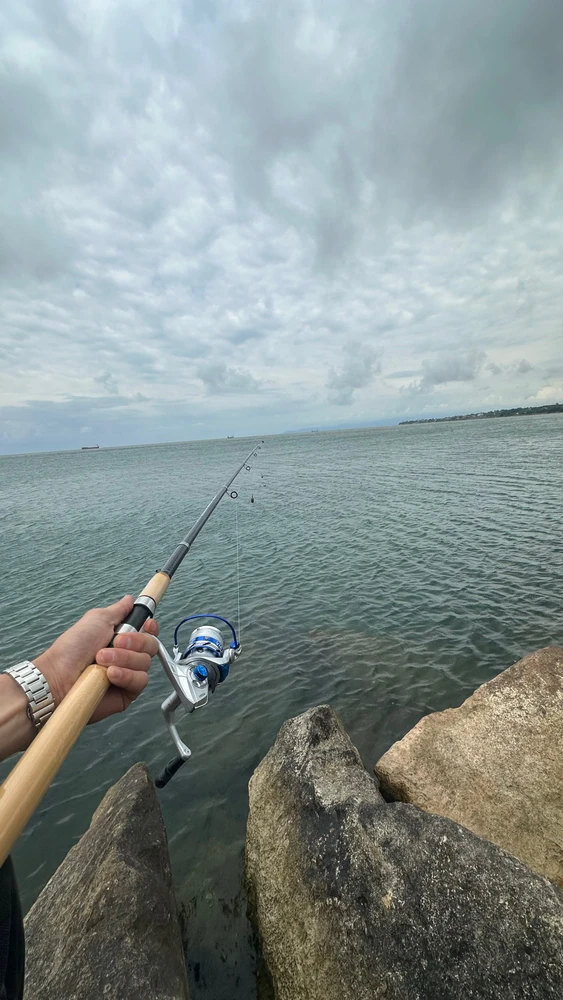 CAN tarafından yüklenen GIF