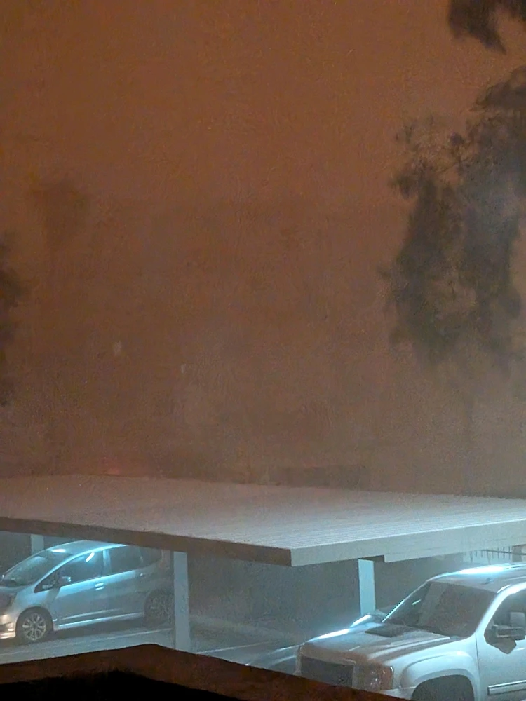 Image uploaded by Nick