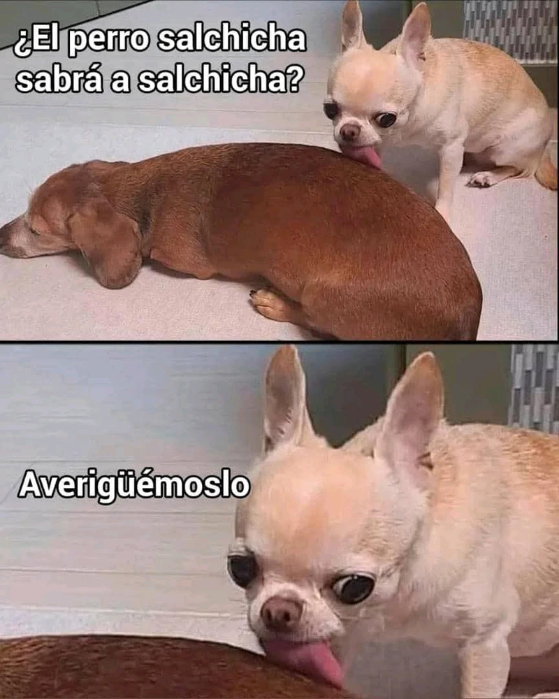 GIF subido por Brandon