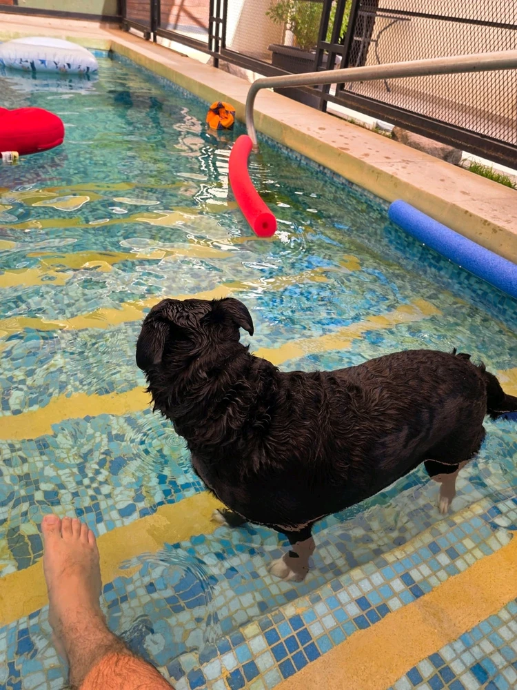 GIF subido por Solid