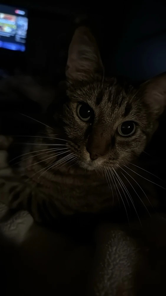 GIF uploaded by Mike