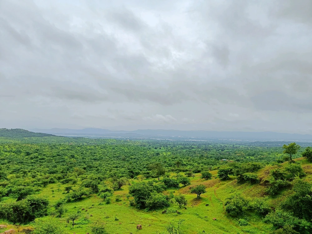 Image uploaded by Pratz