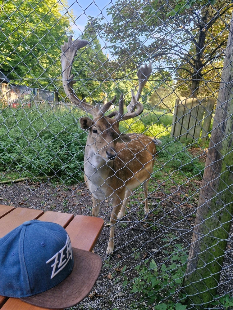 GIF hochgeladen von TomTom