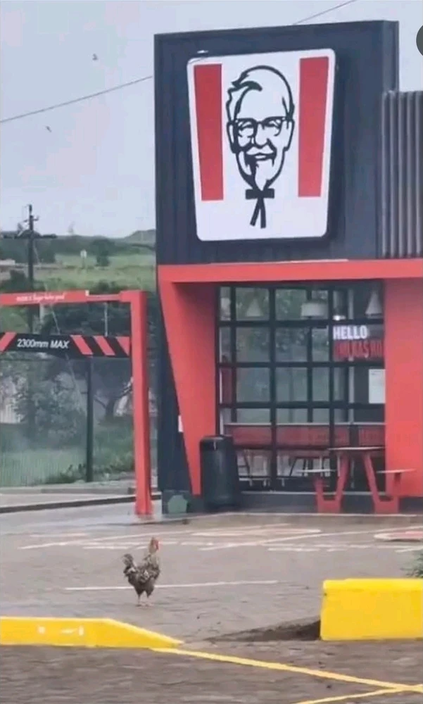 Bild hochgeladen von Chris