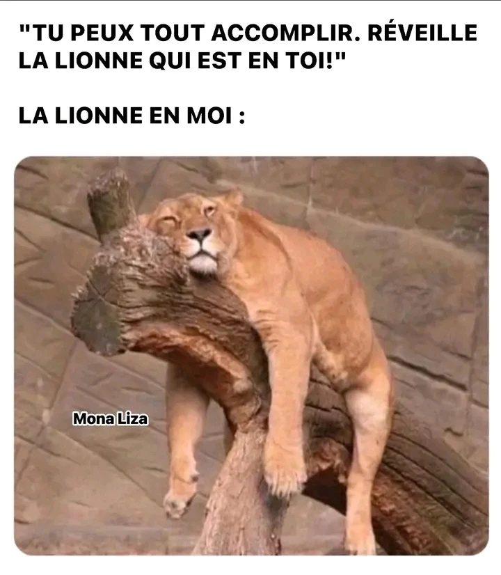 GIF ajouté par Lucie ❤️