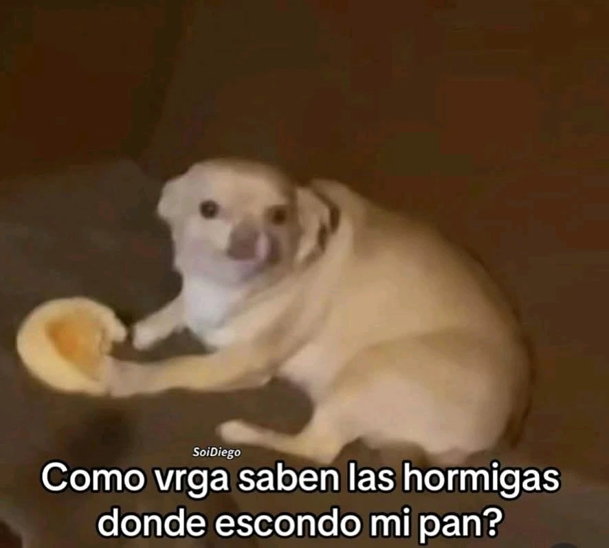 GIF subido por Alejandro
