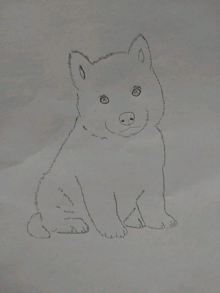 Image uploaded by Will