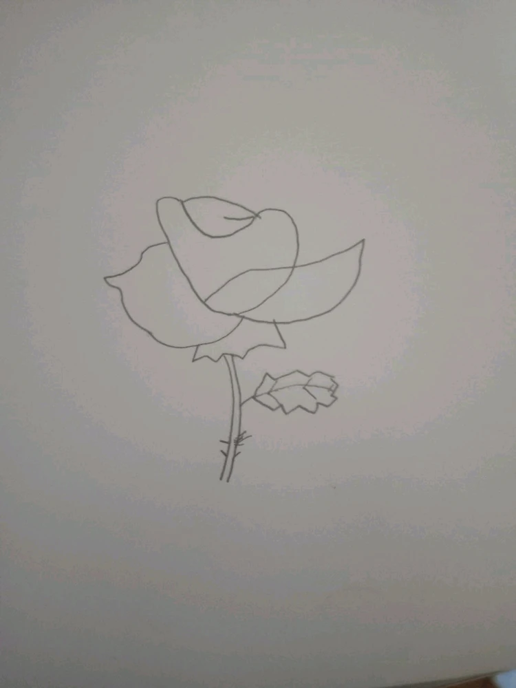 Image uploaded by Will