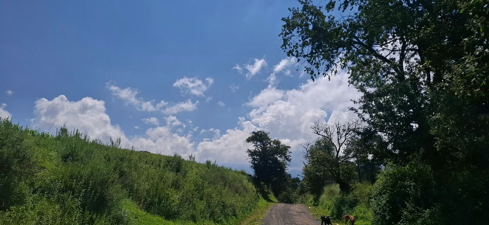 Imagen subida por Luis fer