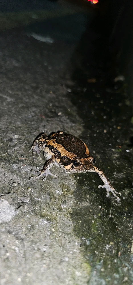 GIF diunggah dening Jordan