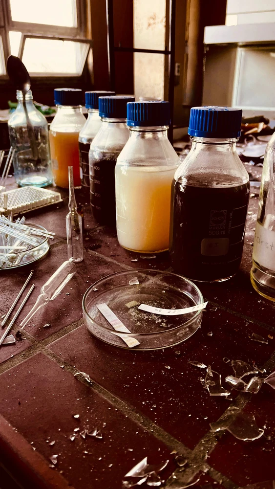 Bild hochgeladen von Nicolas