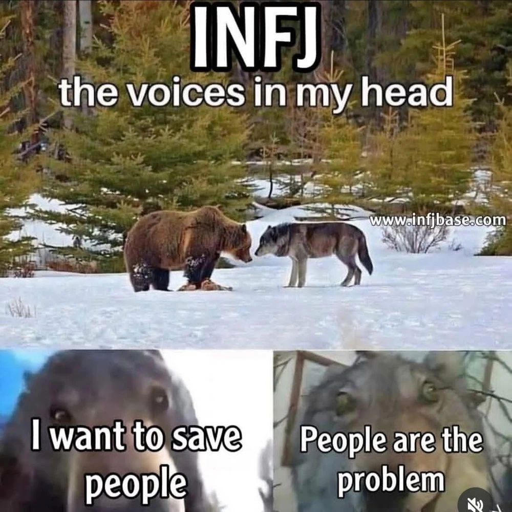 *Intj: people are the problem always xd*