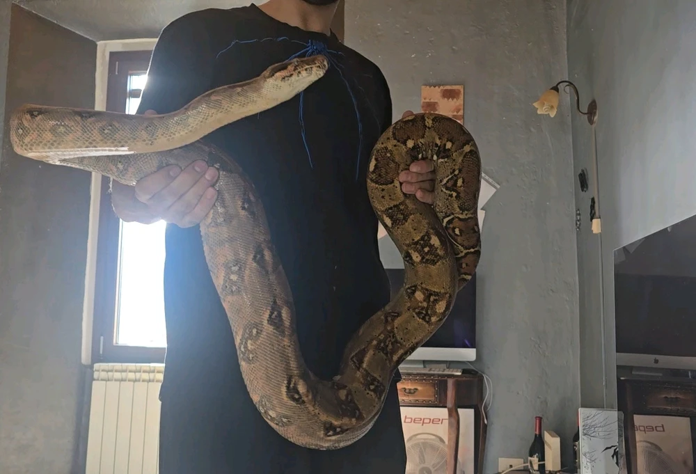 GIF caricata da Luca