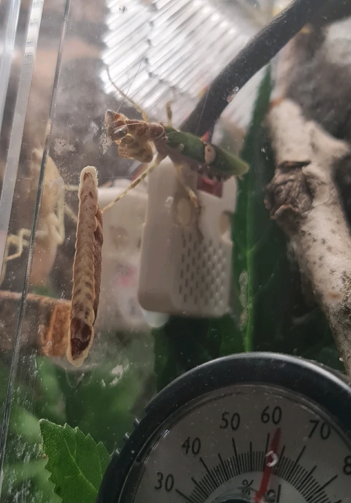 Sliko je naložil Kristjan